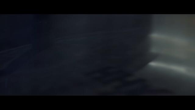 Exploring Birdsong - Turntail (Official Music Video)