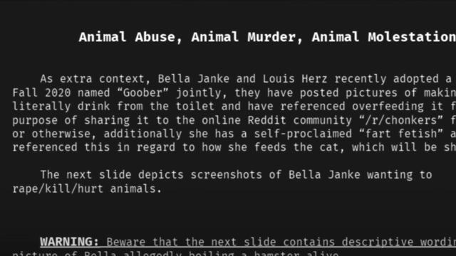 The Horrifying Tale of Chris Chan & Isabella Janke