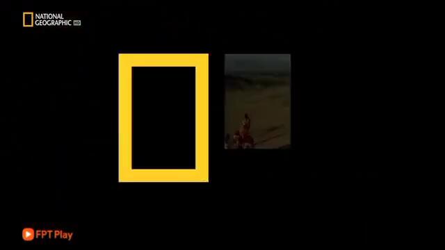 videoplayback (9) (360p with 30fps)