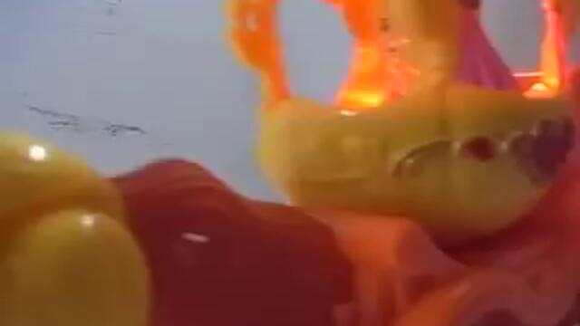 รถม้าเจ้าหญิง _ Concepttoy shop