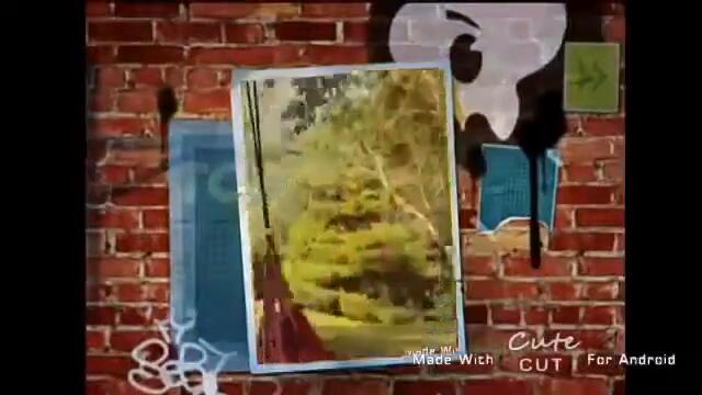 Toon Disney Italy_ ready peeps - Now bumper