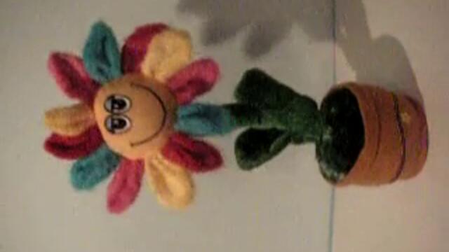 kwiatek_tańczący_i_śpiewający (240p)