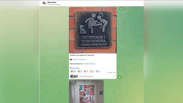 Фото от подписчиков