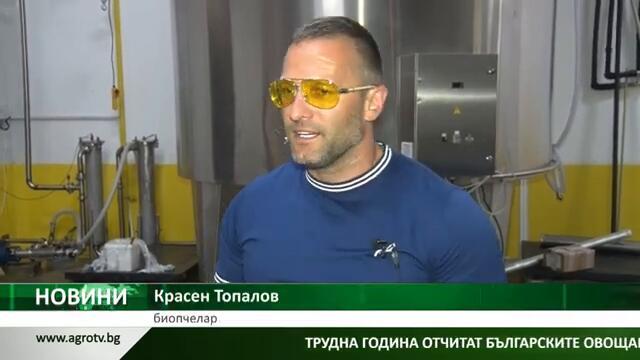 ПЧЕЛИНИТЕ НА БЪЛГАРИЯ: В стопанството на Красен Топалов