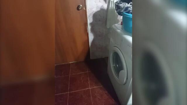 Фото от подписчиков (2 часть)