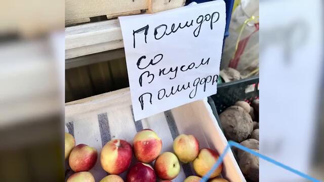 Фото подписчиков Фактории (248 часть)