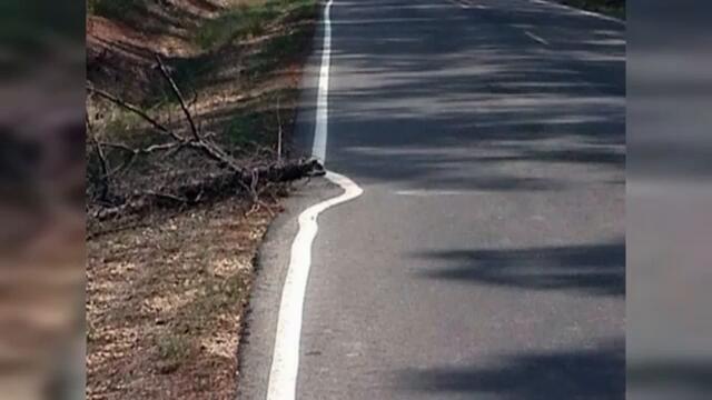 Ленивые профессионалы своего дела