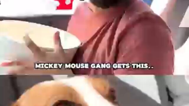 Mickey Mouse gang gets this..
