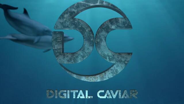 Делфинът Бърни 2 Bernie the Dolphin 2   (2019) Бг Аудио Част 1