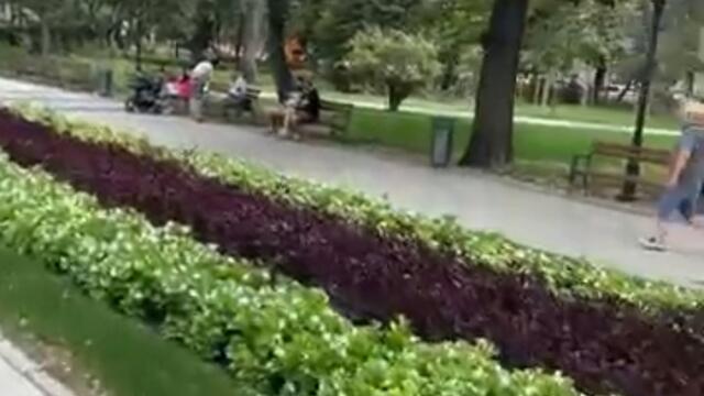 #bulgaria #българия #plovdiv #europe #bulgariatourism #travel #discoverbulgaria