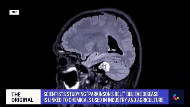 Scientists studying ‘Parkinson’s belt’ believe disease is linked to chemicals