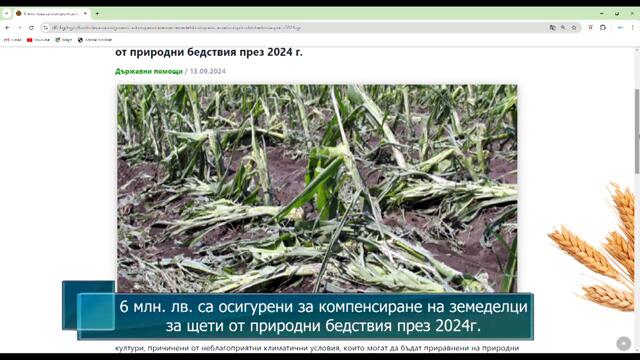 6 млн. лева са осигурени за компенсиране на земеделци за щети от природни бедствия през 2024 г.