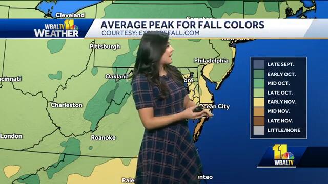 Weather Talk: When will the leaves start to change color?