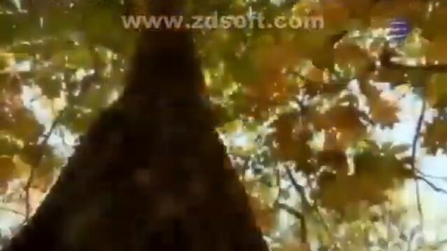 videoplayback 83