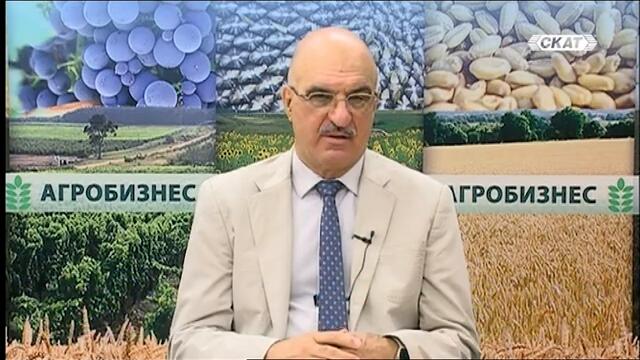 ВИНО, ВИНО ДАЙТЕ! ПИЯН АЗ ДА ЗАБРАВЯ....