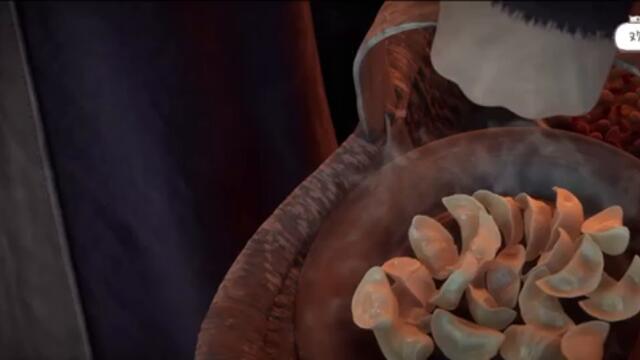 MULTI SUB【仙逆 | Renegade Immortal】EP55：化凡     1080P | #3DAnimation