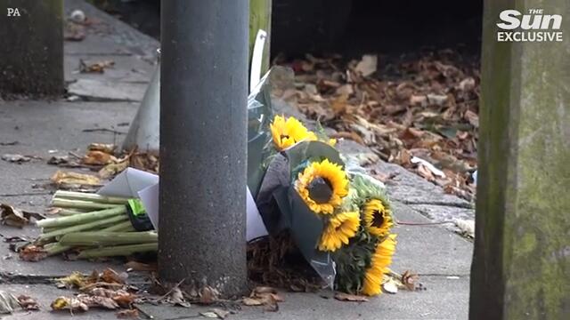 Teen arrested after schoolboy 'stabbed with zombie knife and left to die in street ambush'