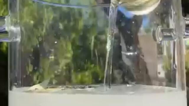 МАРИНУЮ КАПУСТУ теперь ТОЛЬКО ТАК #рецепт #рецепты #рек #рекомендации #еда