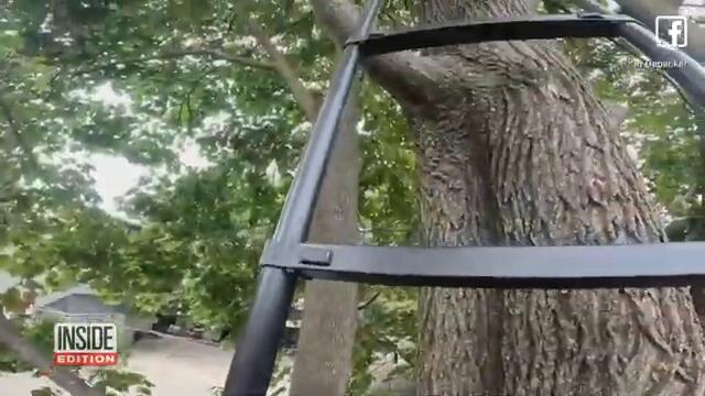 Animal Rescuer Catches Kitten Falling Out of a Tree