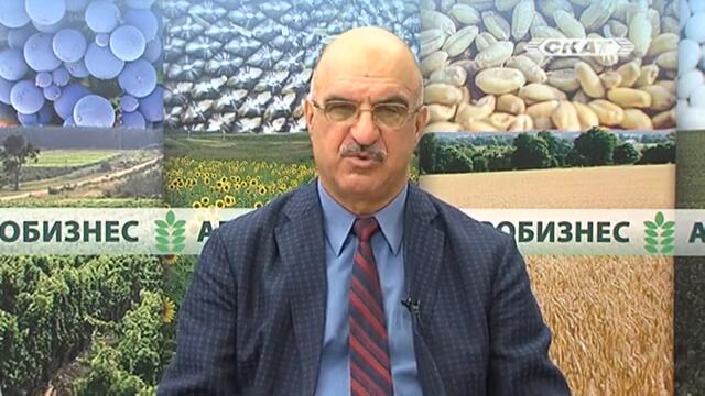 БЪЛГАРСКИТЕ ПОЛИТИКАНИ НИ ВОДЯТ КЪМ КАТАСТРОФА С ПАРИТЕ НА ЕС!