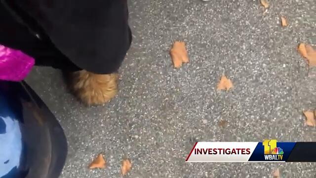 FBI raids happen in Annapolis, Baltimore