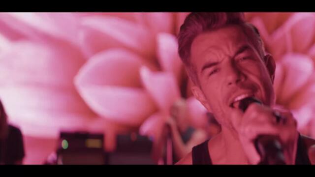 311 - Full Bloom (Official Music Video)
