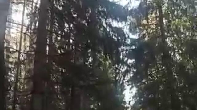 🔆🌕🌙Лунный календарь тёмной половины октября / 🌑Движемся к новолунию Дивали