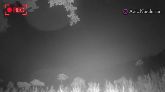 SUARA TANGISAN MISTERIUS!! PASANG CCTV DI HUTAN ANEH 10 TAHUN TINGGAL SENDIRI DI GANGGU KUNTILANAK