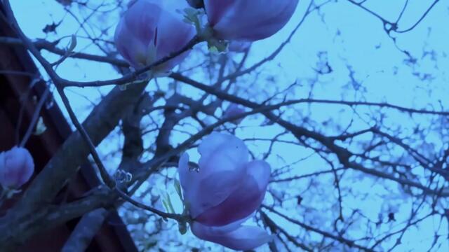 Γιάννης Πλούταρχος - Περνάς Καλά - забавляваш ли се