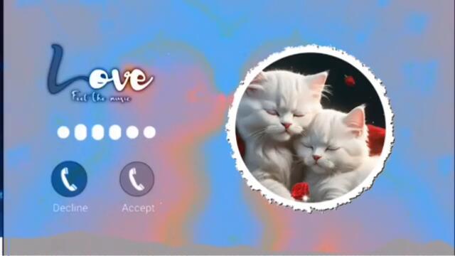 CAT SONG MEOW MEOW |BG.New Song| meow meow song| BG.New Song Meow Meow