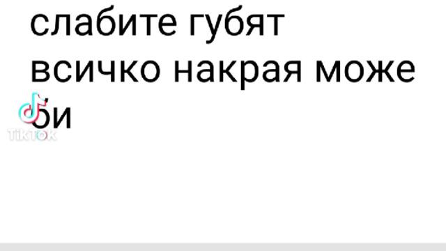 2024-11-13-141643925