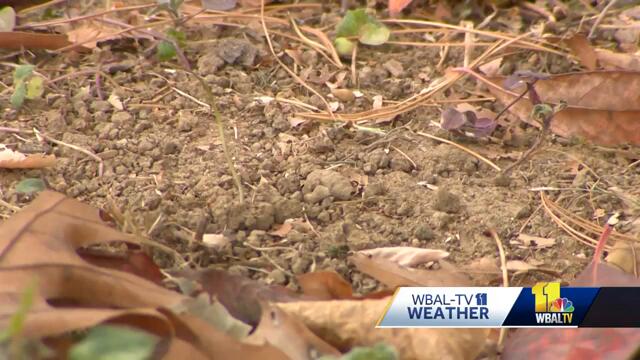 Burn ban remains in effect as light rain moves in