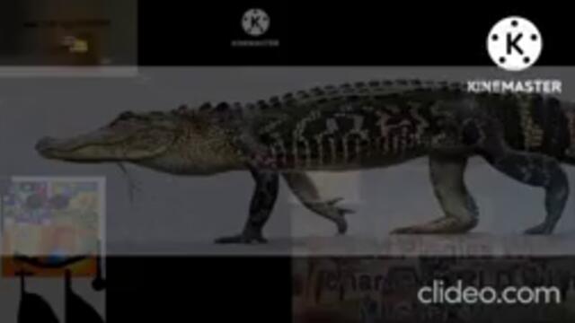 Male Muscle Growth no longer