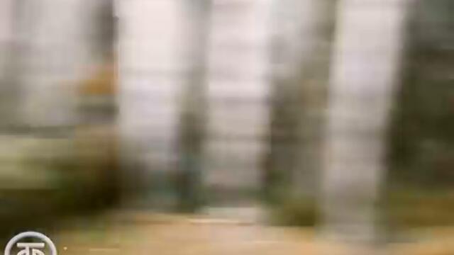 Домовенок Кузя Фильм 2 Приключения домовенка 1986