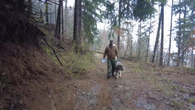 Президентът обяви военно положение, за да спре импийчмънт – 04.12.2024 г._HD