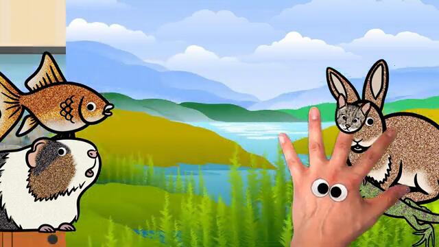 Pet Animals Finger Family | Kids Songs and Nursery Rhymes