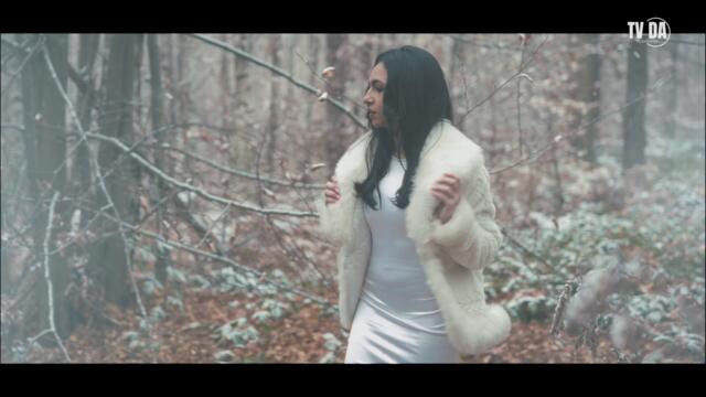 Aleksandar Simic - JEDINO MOJE - (Official Video 2024)