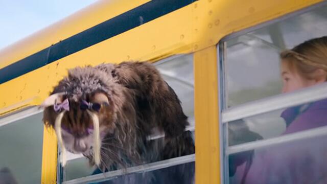 Куче и котка Cat and Dog Chien et chat  (2024) Бг Аудио Част 2