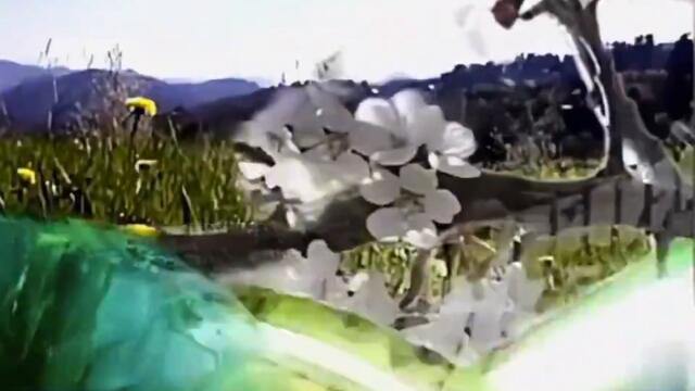 btv_-_Времето_(2003-2005)_720p@50fps (720p)