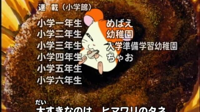 Hamtaro S01-E52