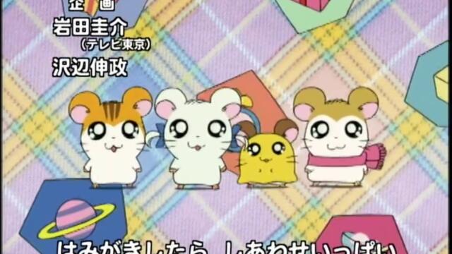 Hamtaro S01-E55