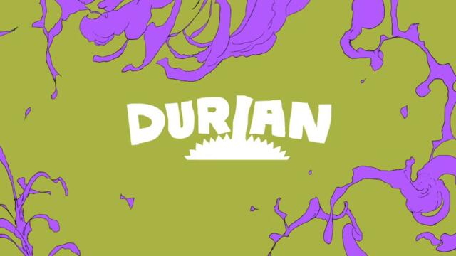 bandicam 2024-11-19 11-13-24-542