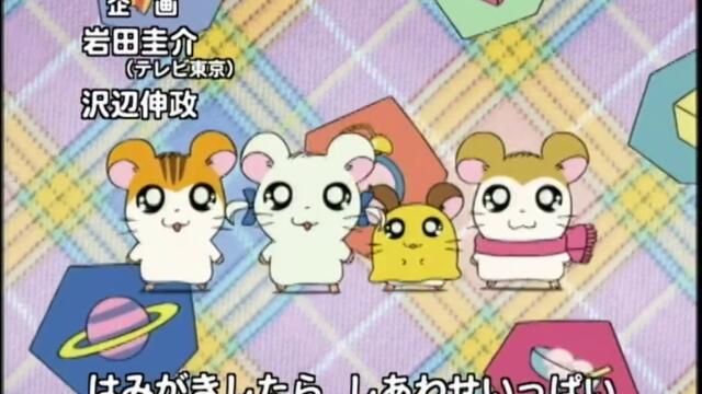 Hamtaro S01-E100