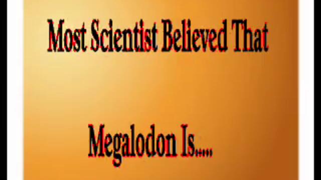 Megalodon (63)