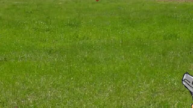 3626_video