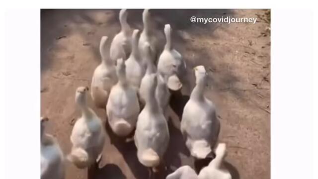 Аз, когато всички се държат нормално