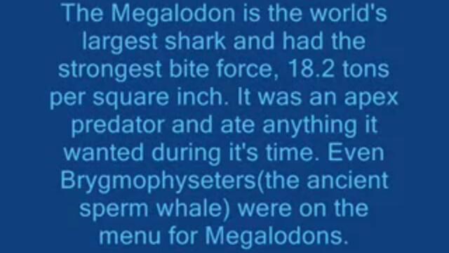 Megalodon vs Predator X