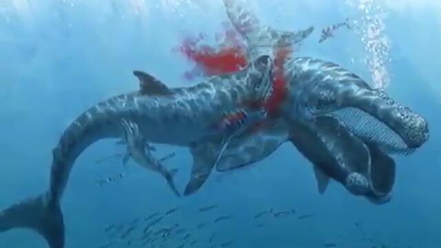 Samaya bolshaya akula v mire Megalodon