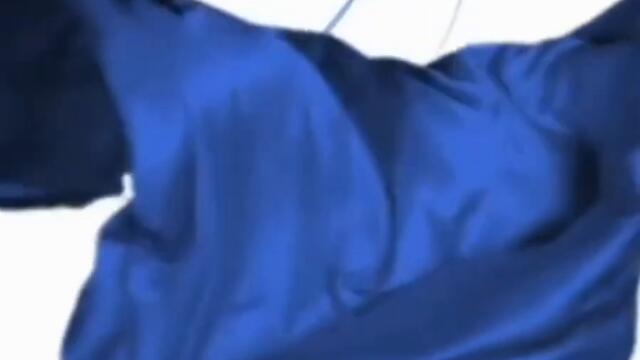 dove logo id animación 720p