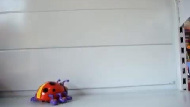 Калинка на батерии  www rayatoys com